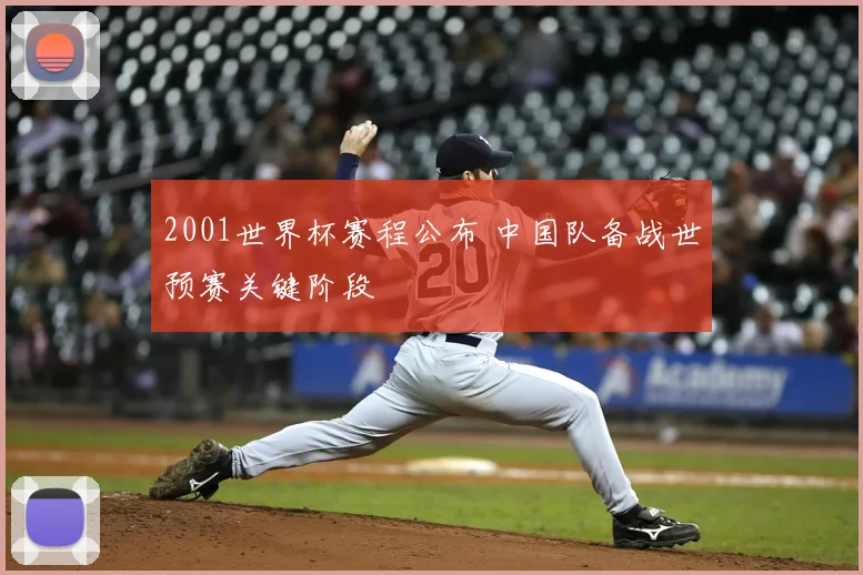 2001世界杯赛程公布 中国队备战世预赛关键阶段