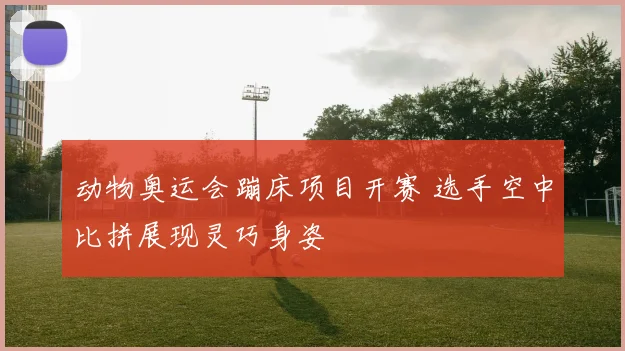 动物奥运会蹦床项目开赛 选手空中比拼展现灵巧身姿