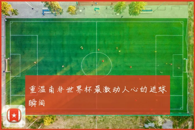 重温南非世界杯最激动人心的进球瞬间